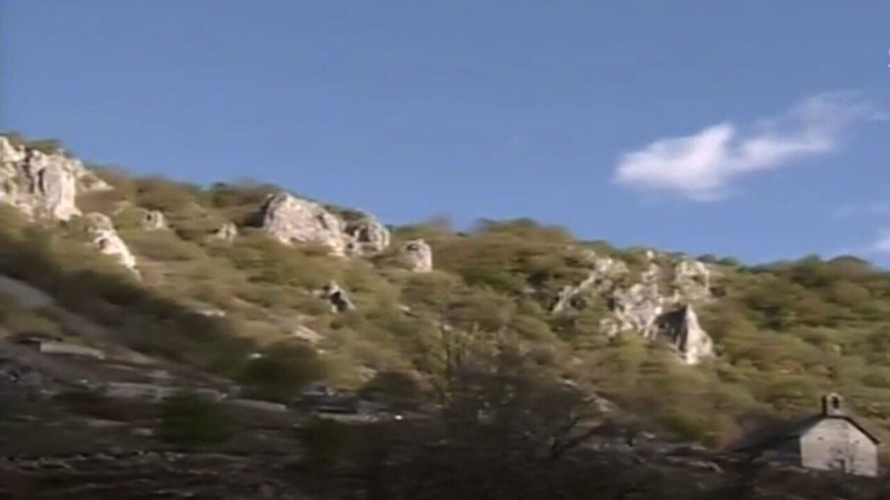 Slika oddaje