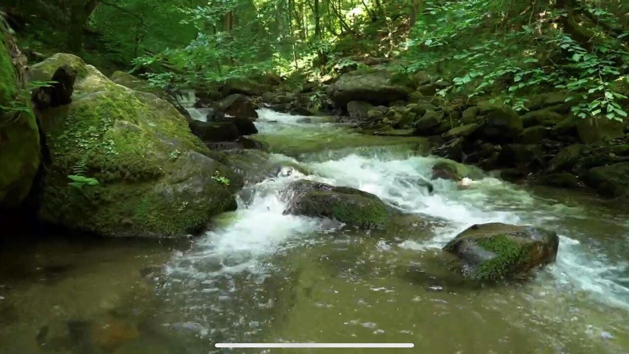Slika oddaje