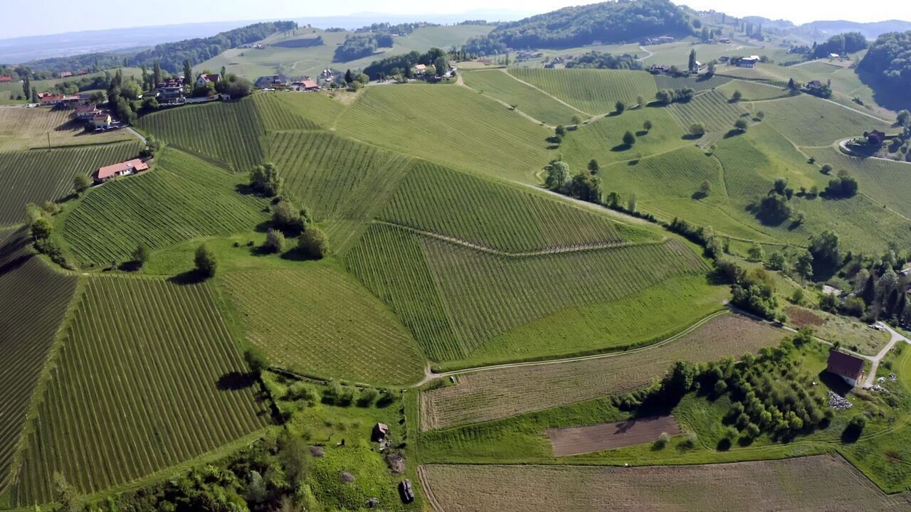 Slika oddaje