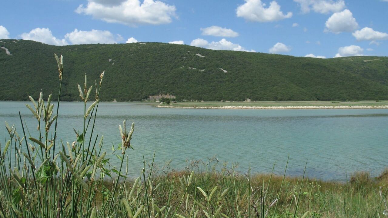 Slika oddaje