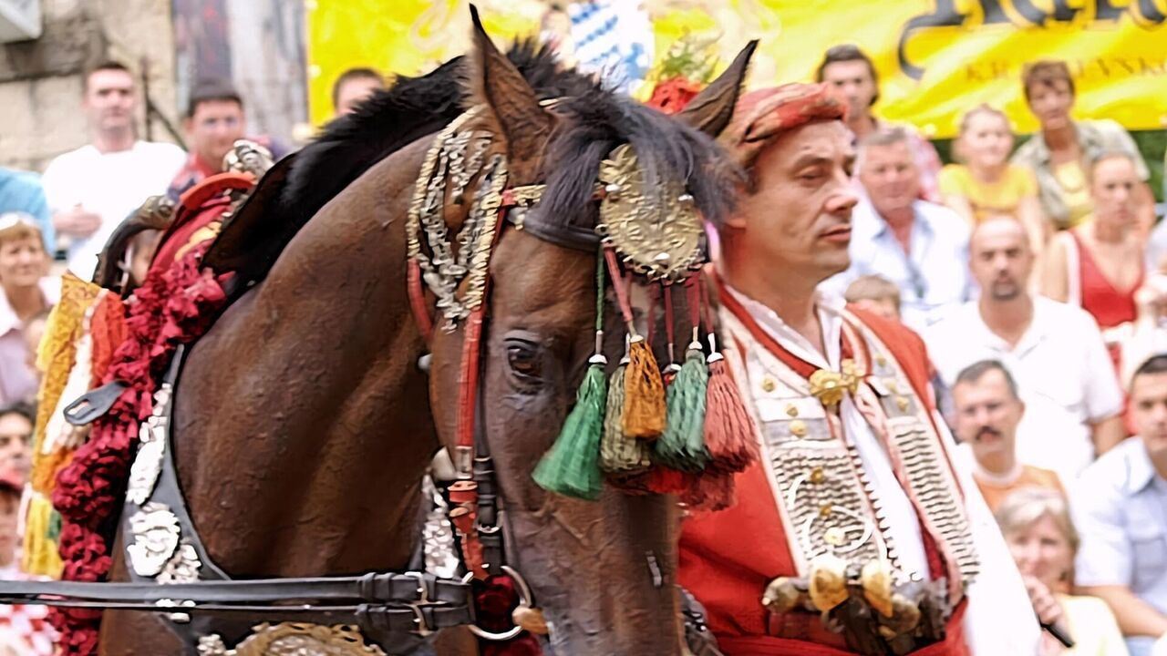 Slika oddaje