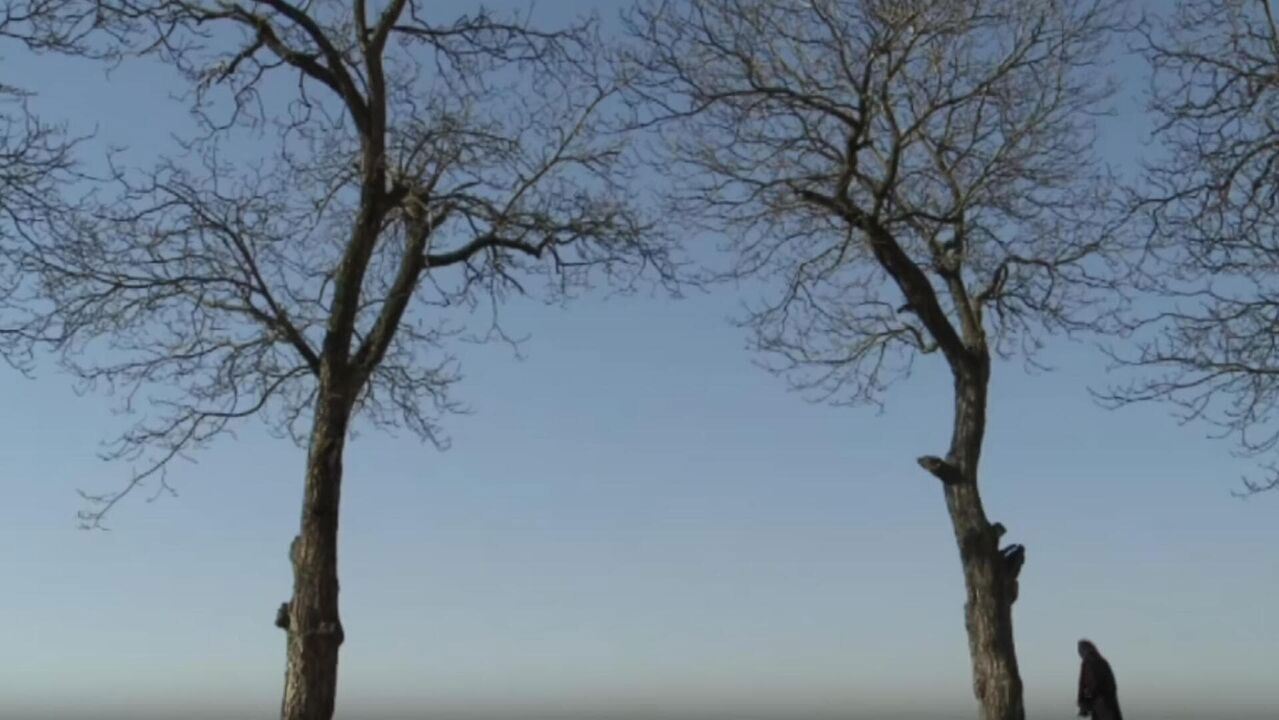 Slika oddaje