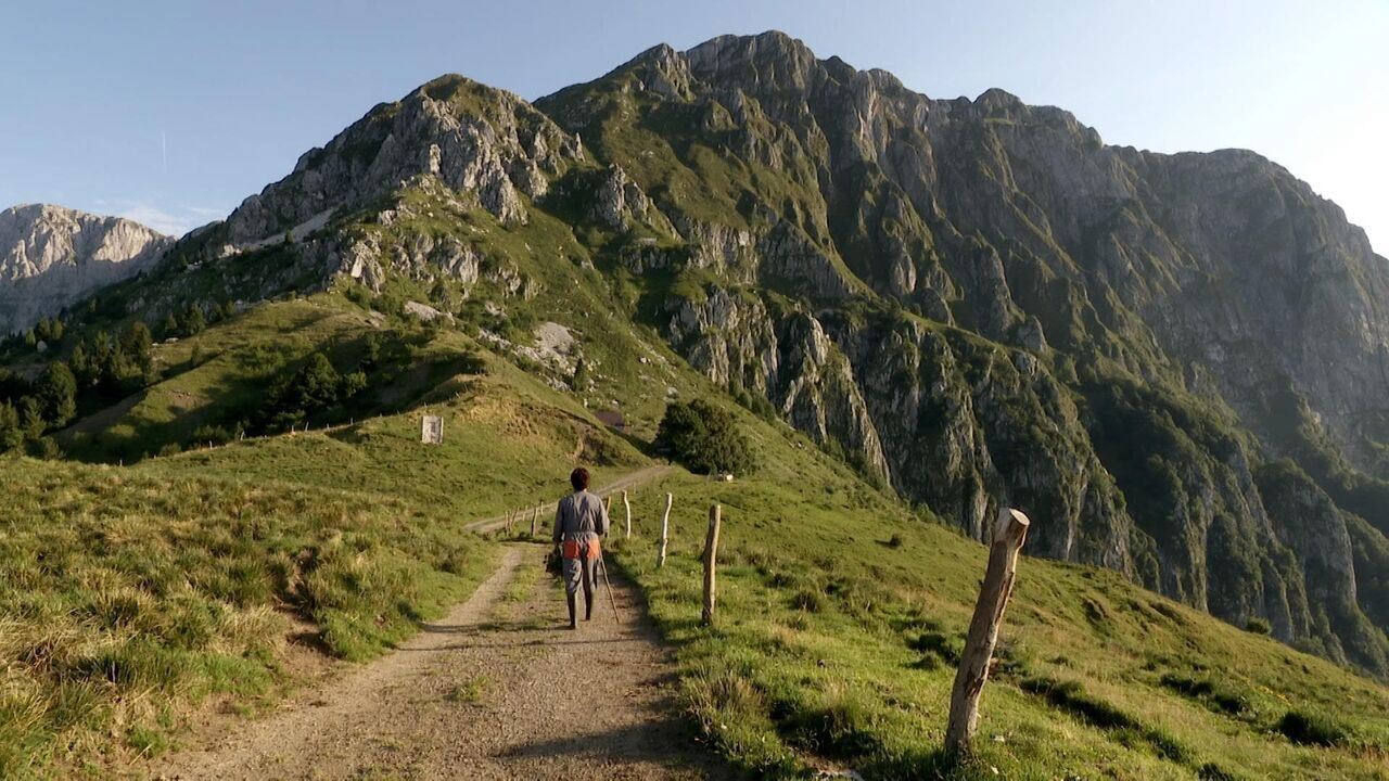Slika oddaje