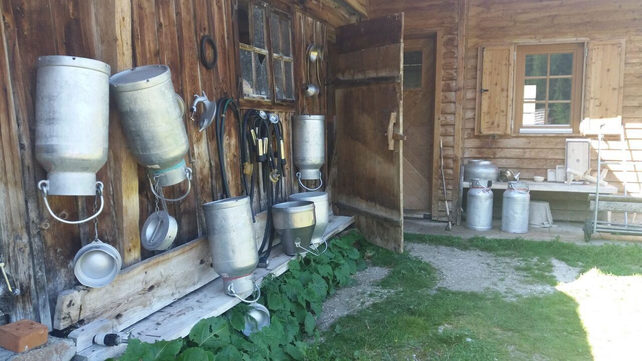 Slika oddaje