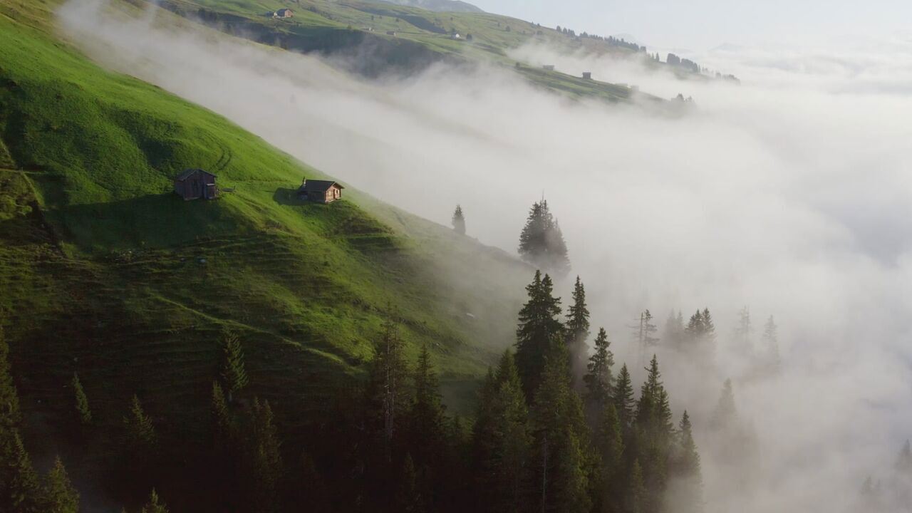 Slika oddaje