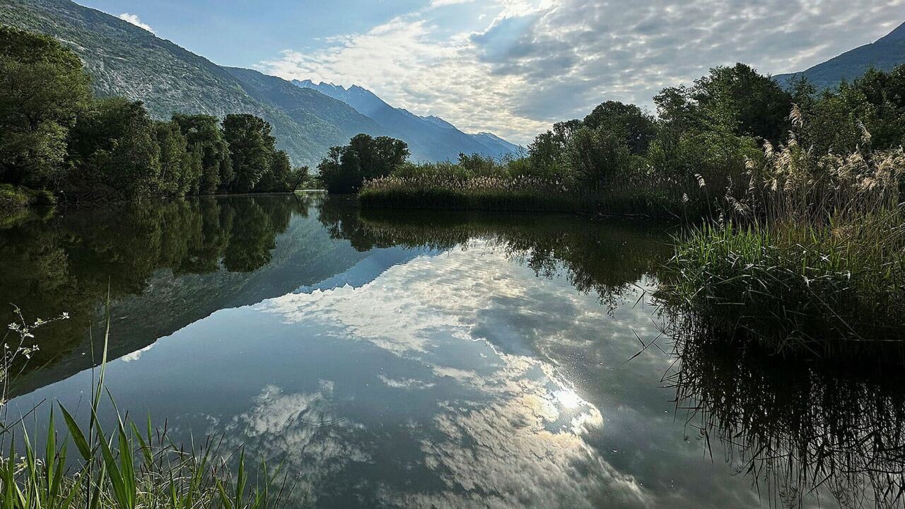Slika oddaje