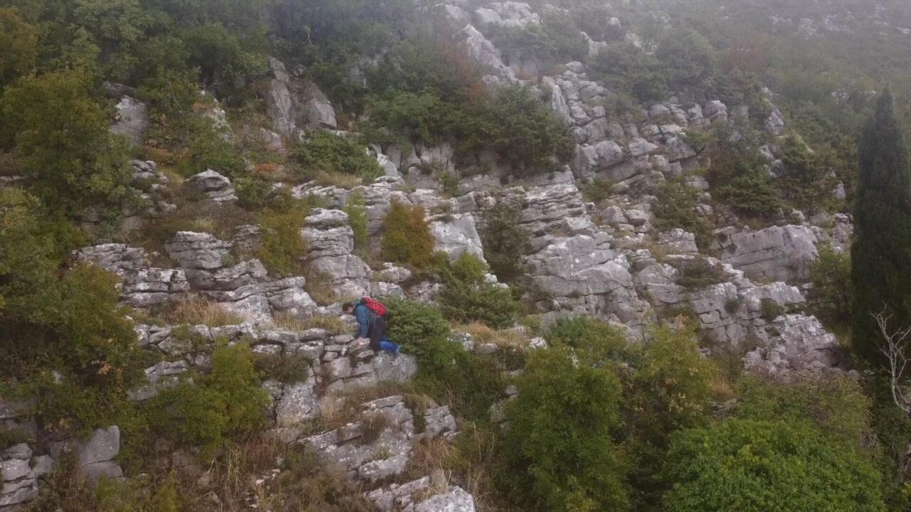 Slika oddaje