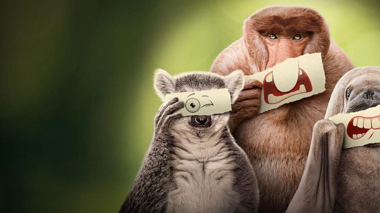 Slika oddaje