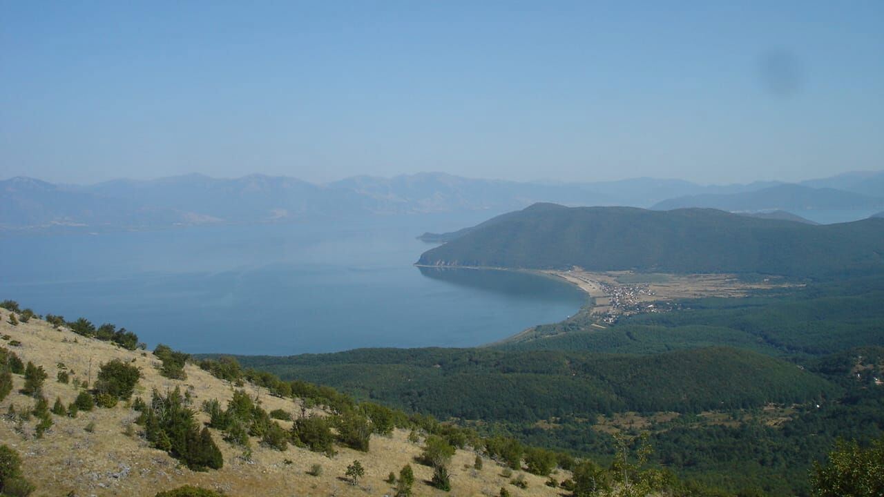 Slika oddaje