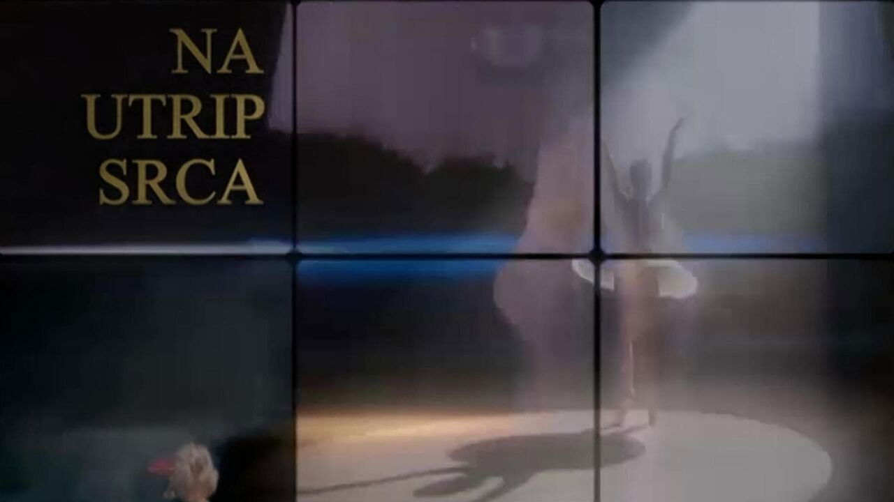 Slika oddaje