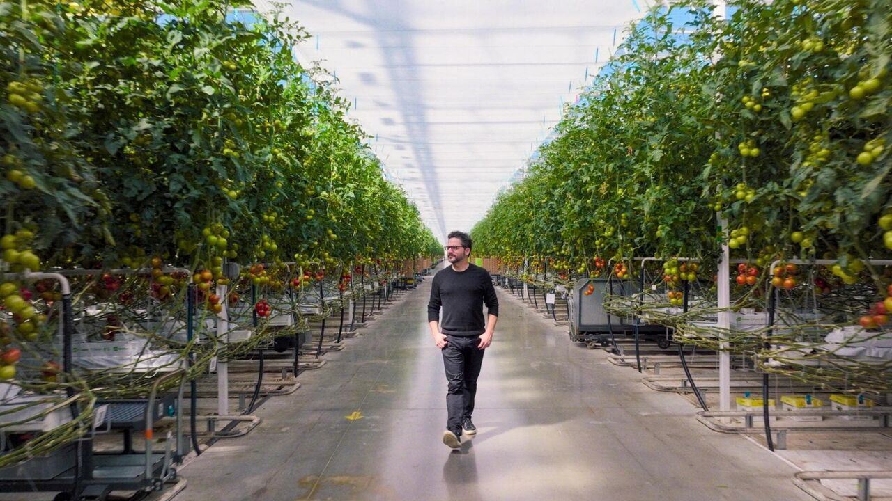 Slika oddaje