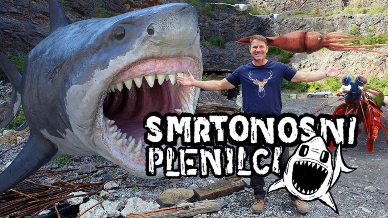 Slika oddaje