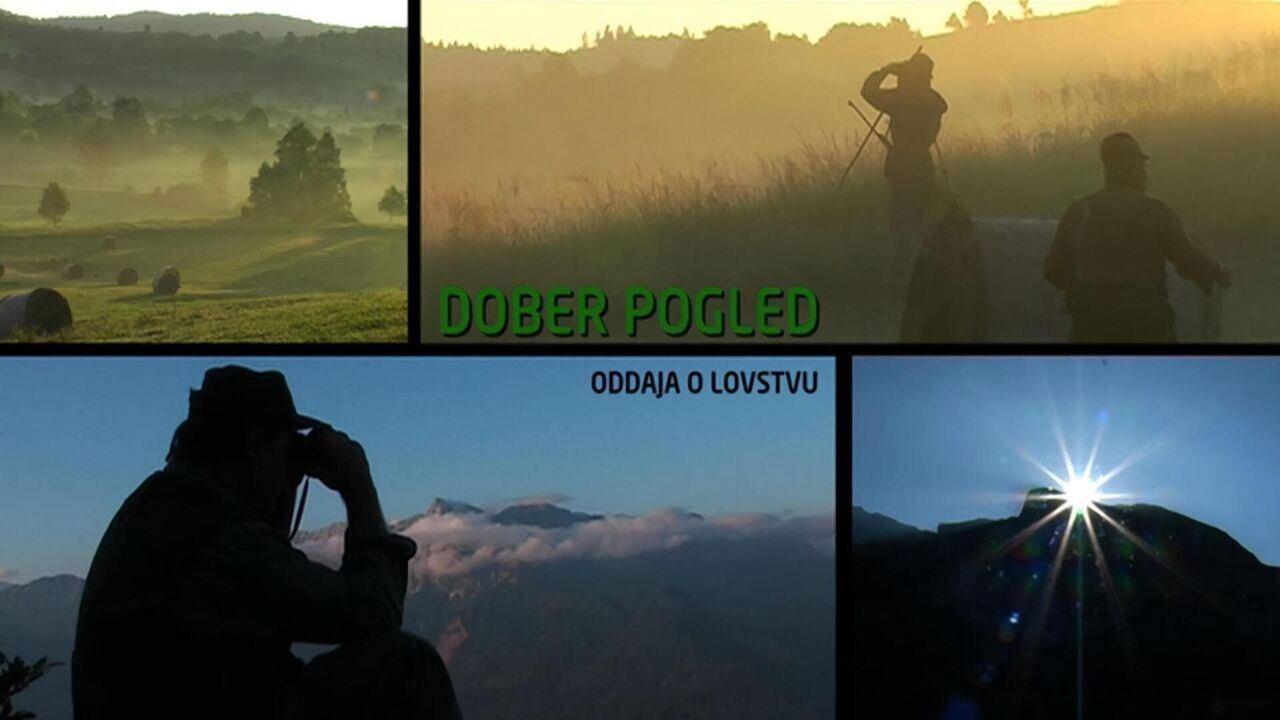 Slika oddaje