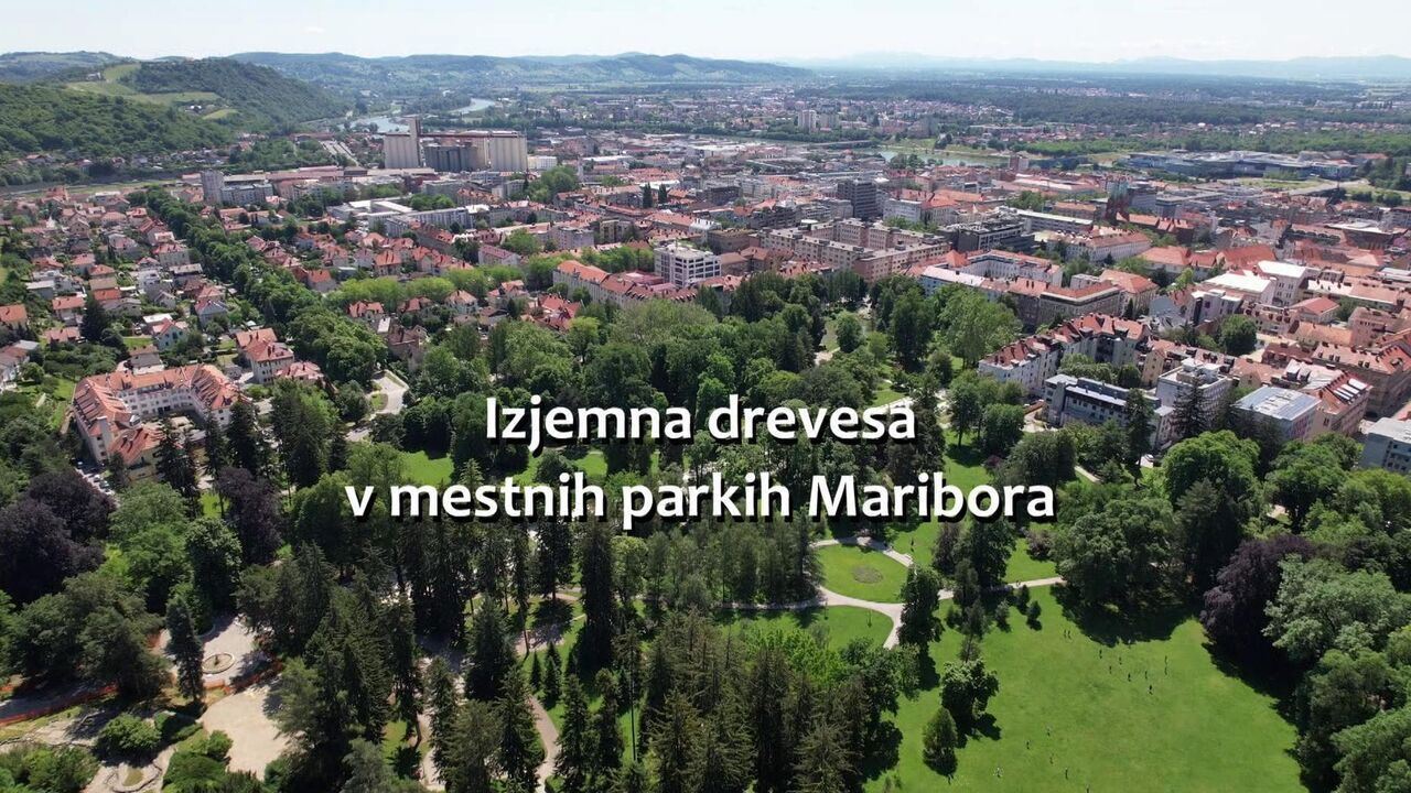 Slika oddaje