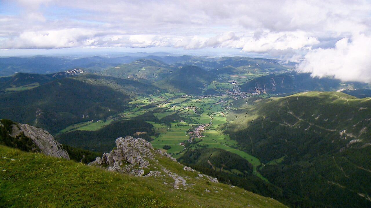 Slika oddaje