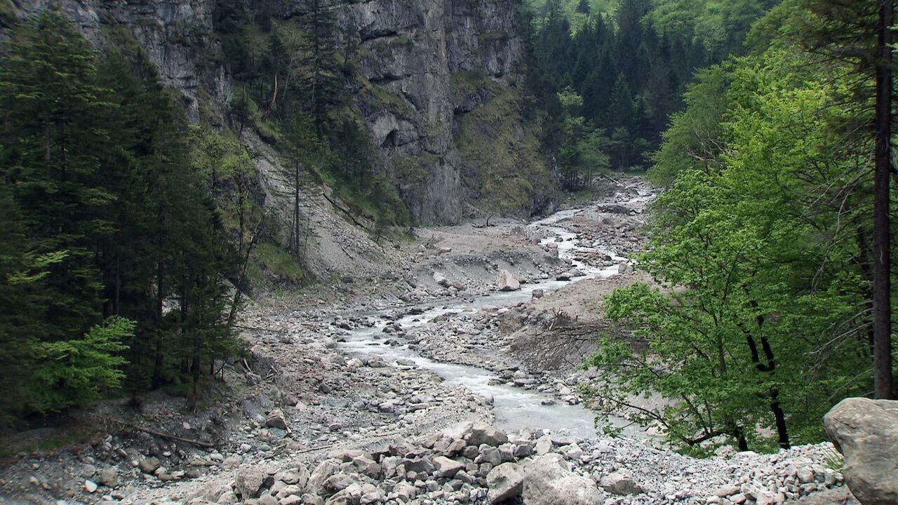 Slika oddaje