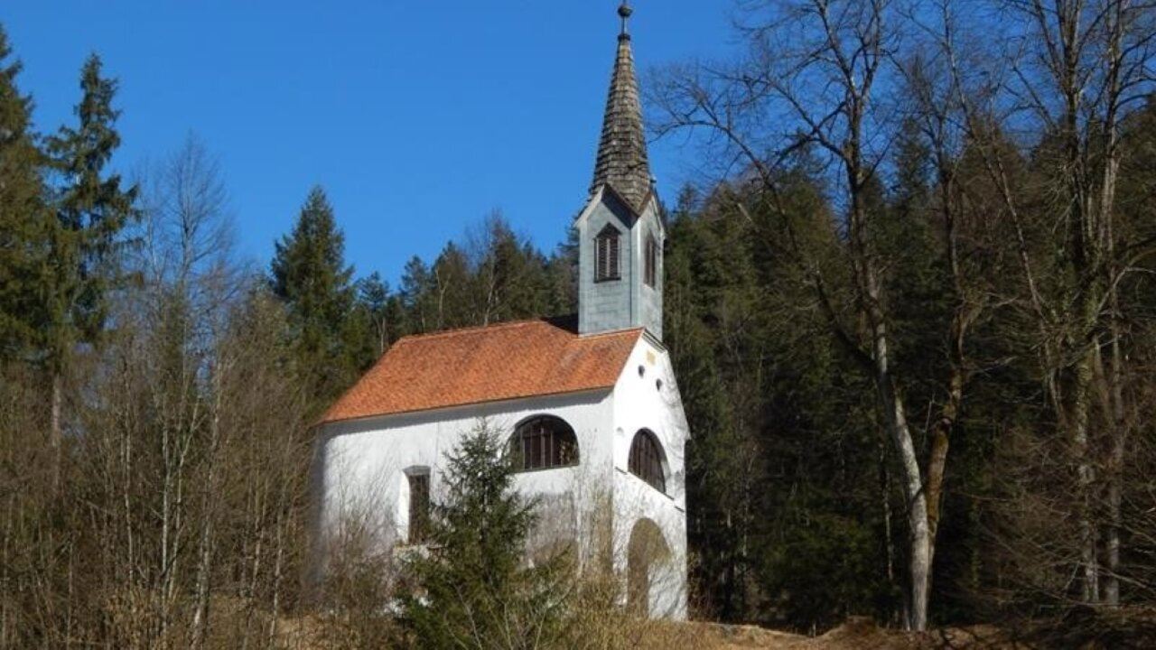 Slika oddaje