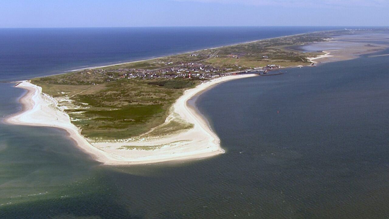 Slika oddaje