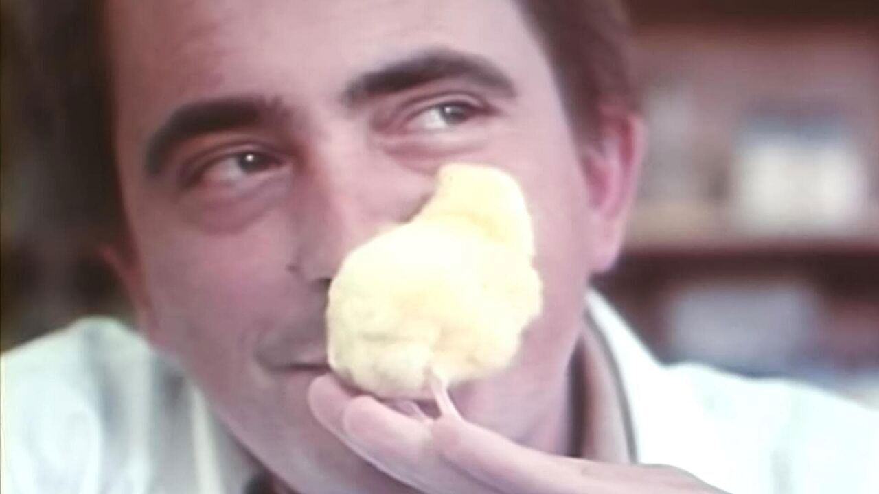 Slika oddaje