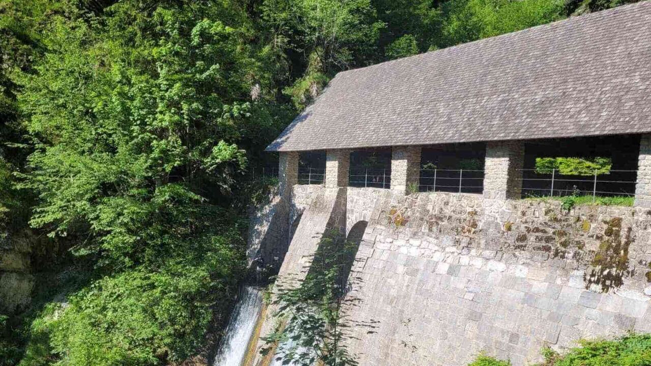 Slika oddaje