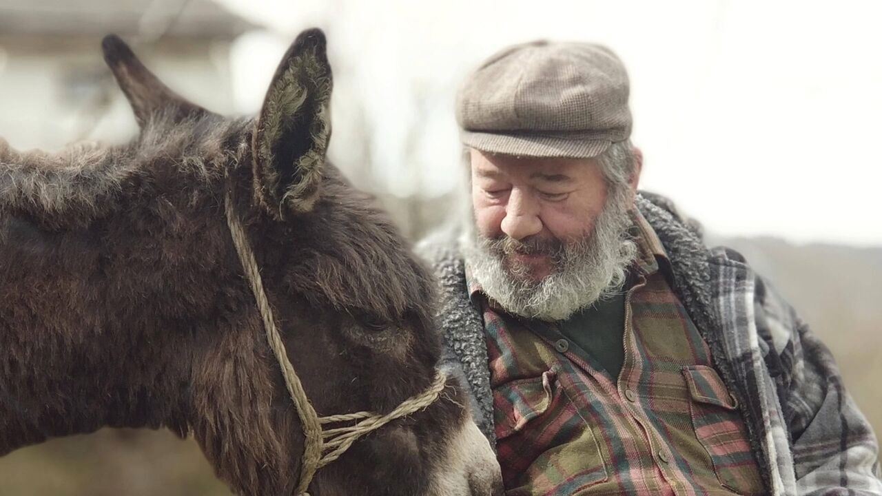 Slika oddaje