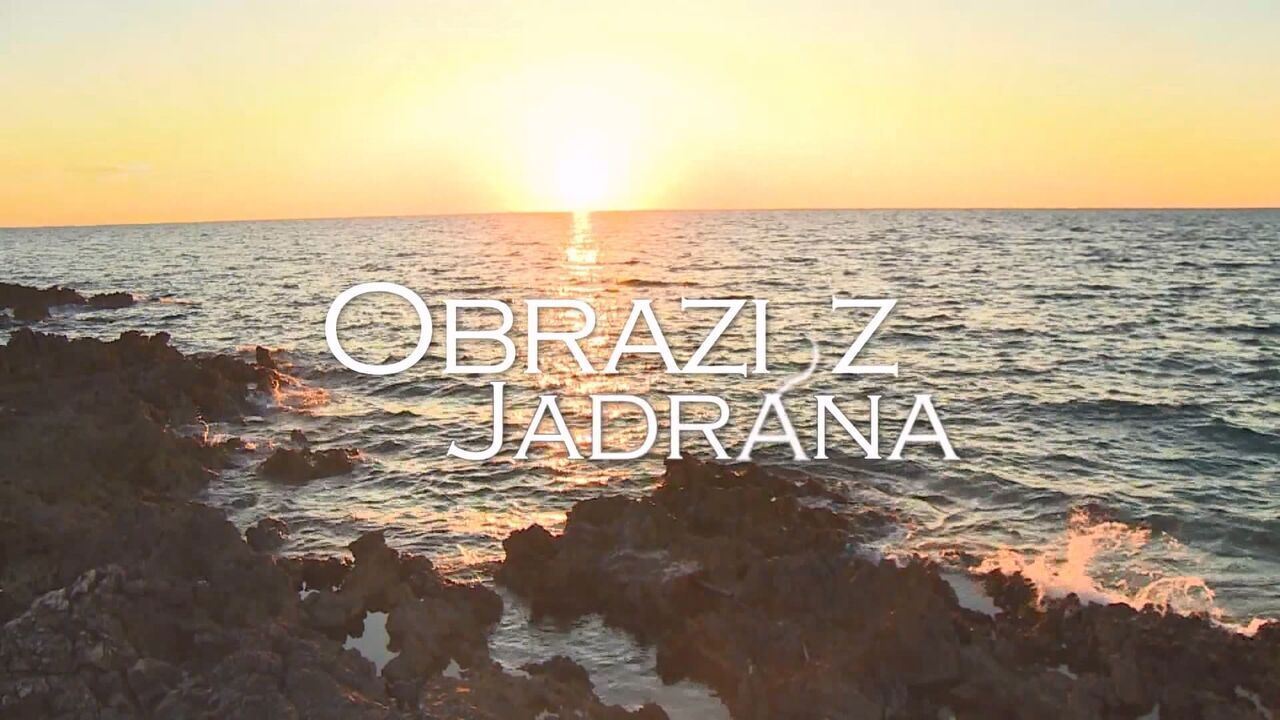 Slika oddaje