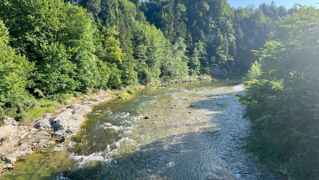 Slika oddaje