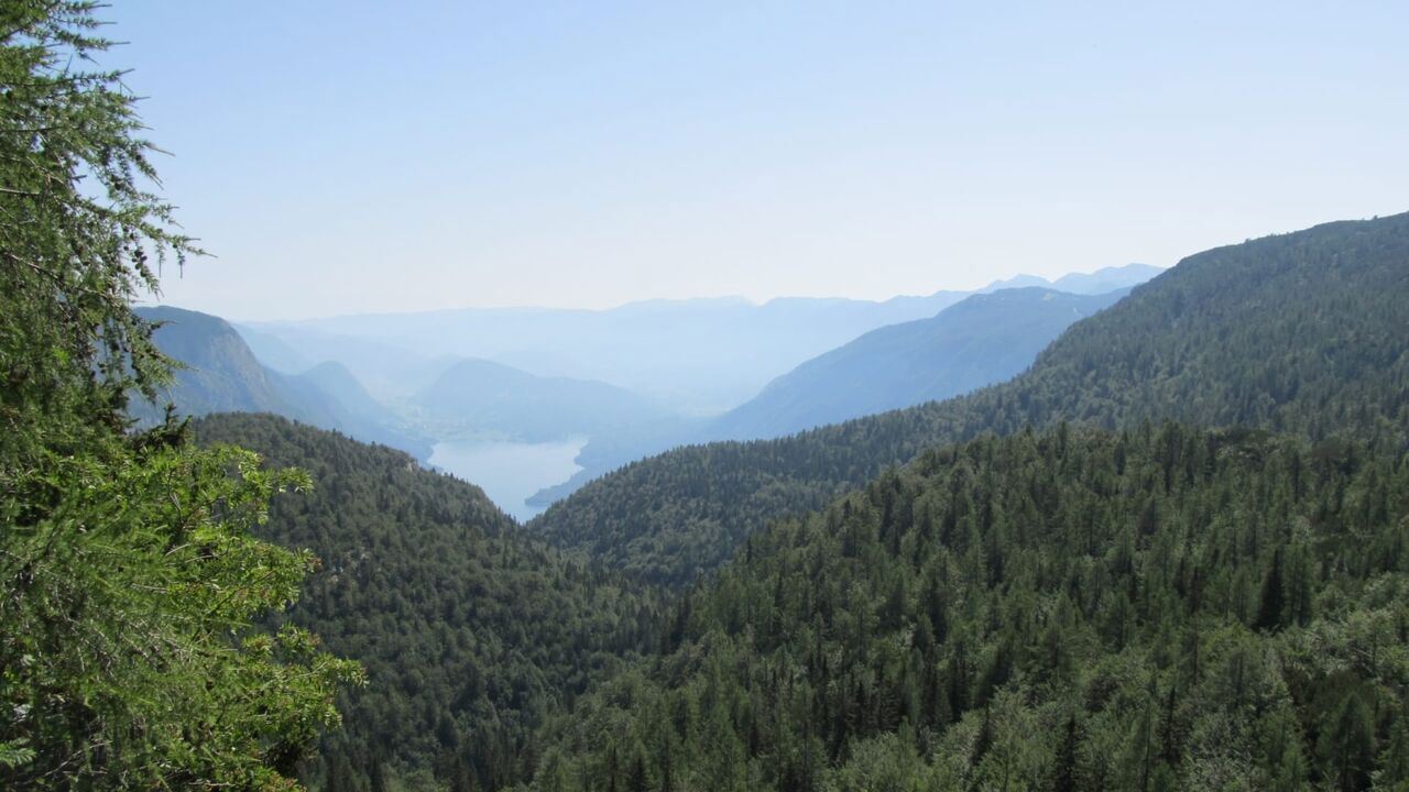 Slika oddaje
