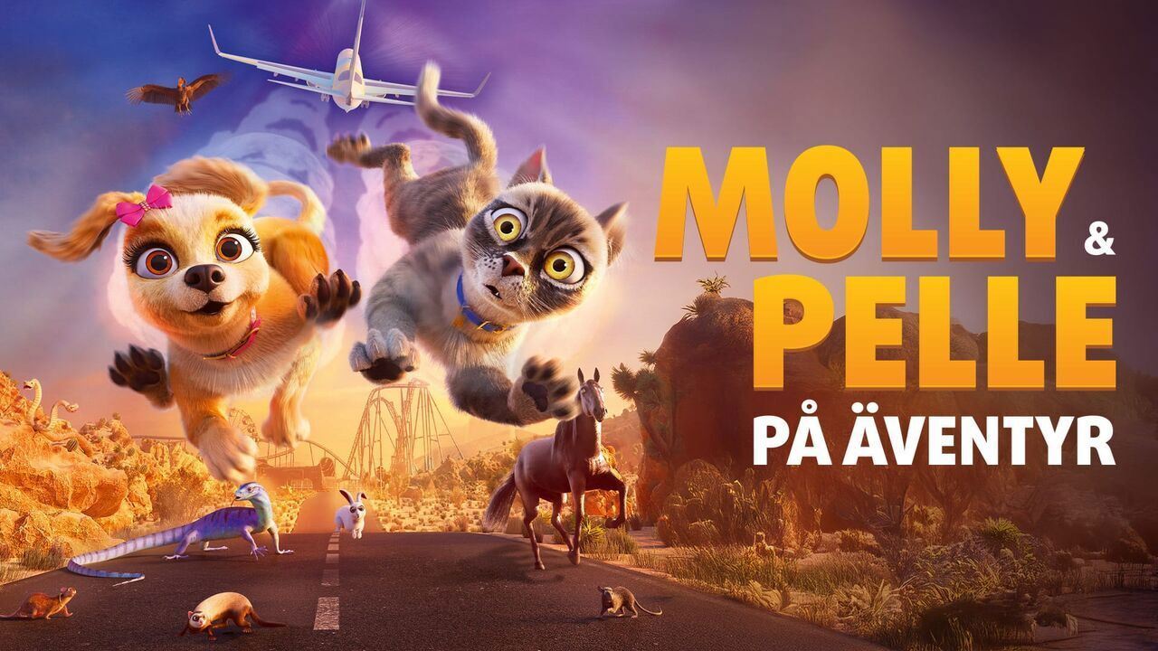 Slika oddaje