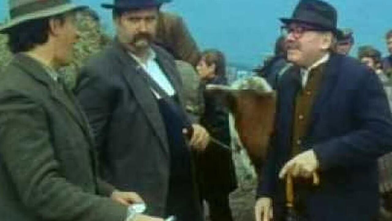 Slika oddaje