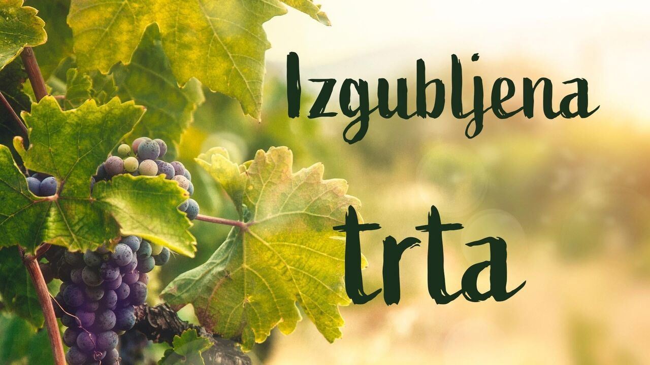 Slika oddaje