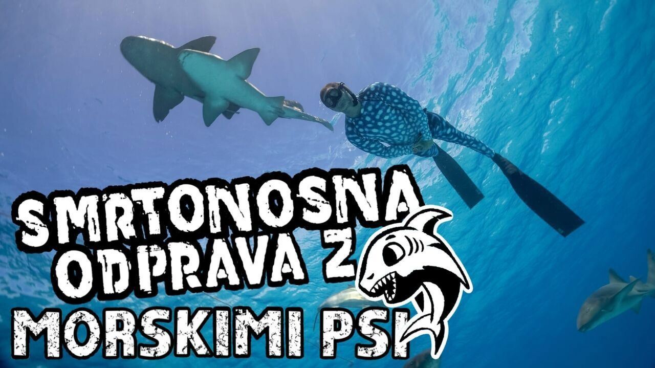 Slika oddaje