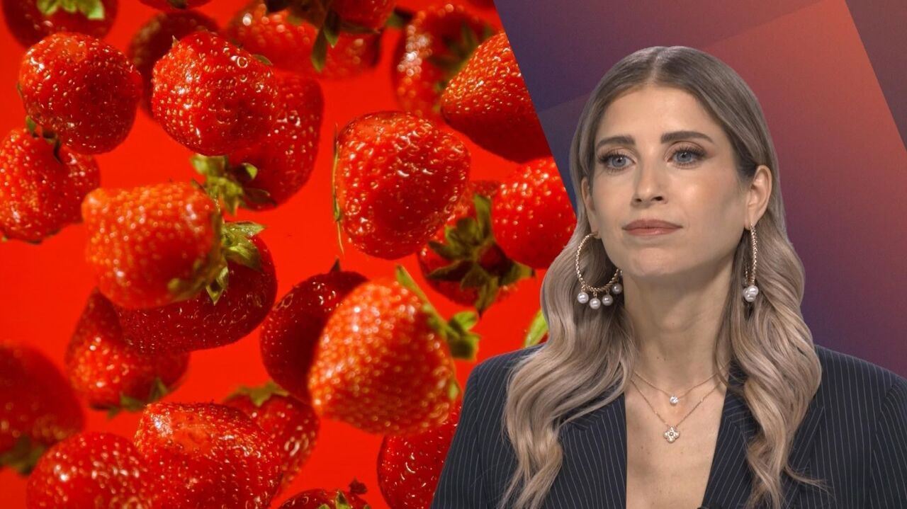 Slika oddaje