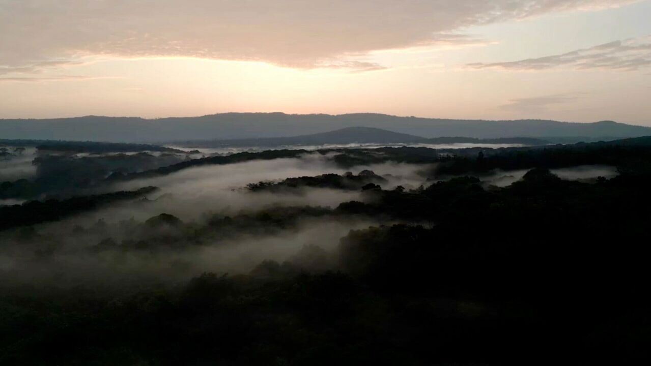 Slika oddaje