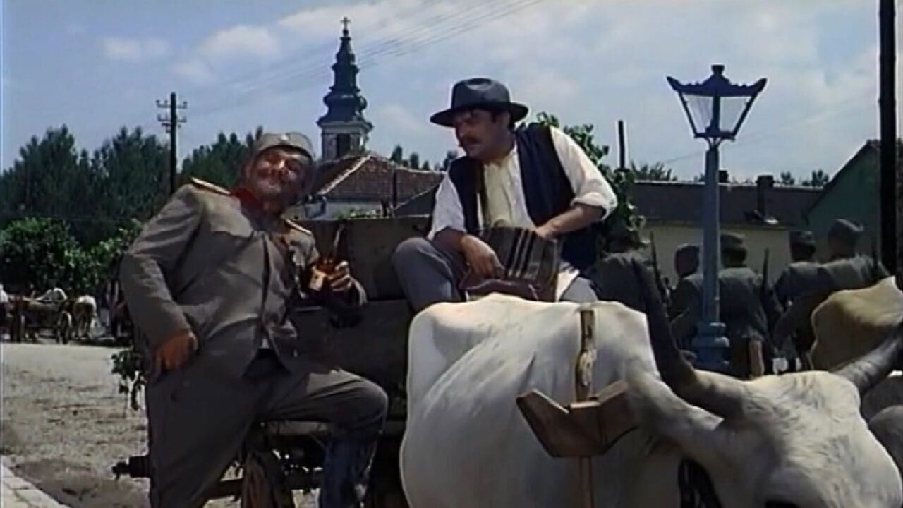 Slika oddaje
