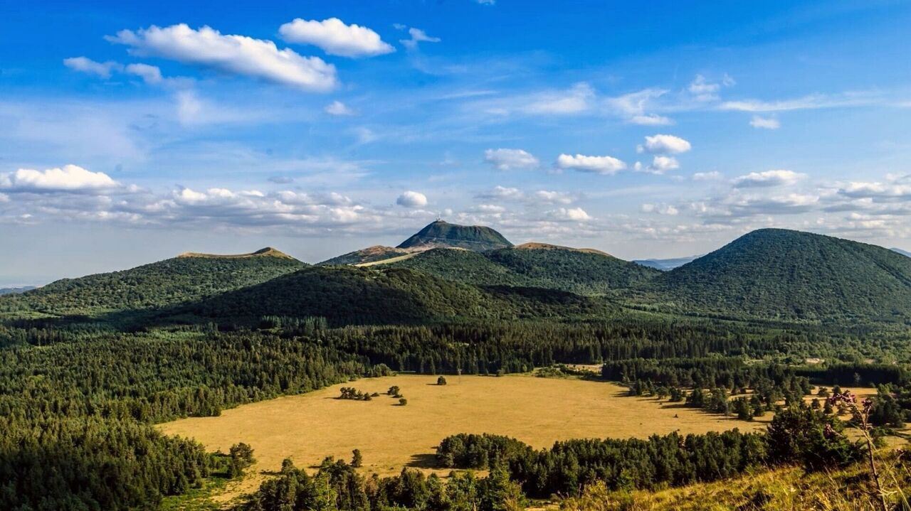 Slika oddaje