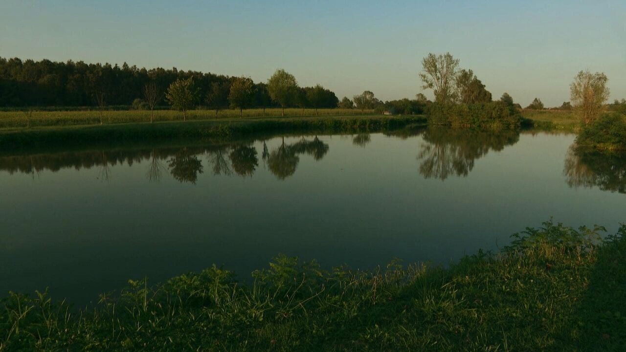 Slika oddaje