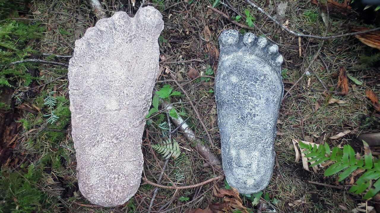 Slika oddaje