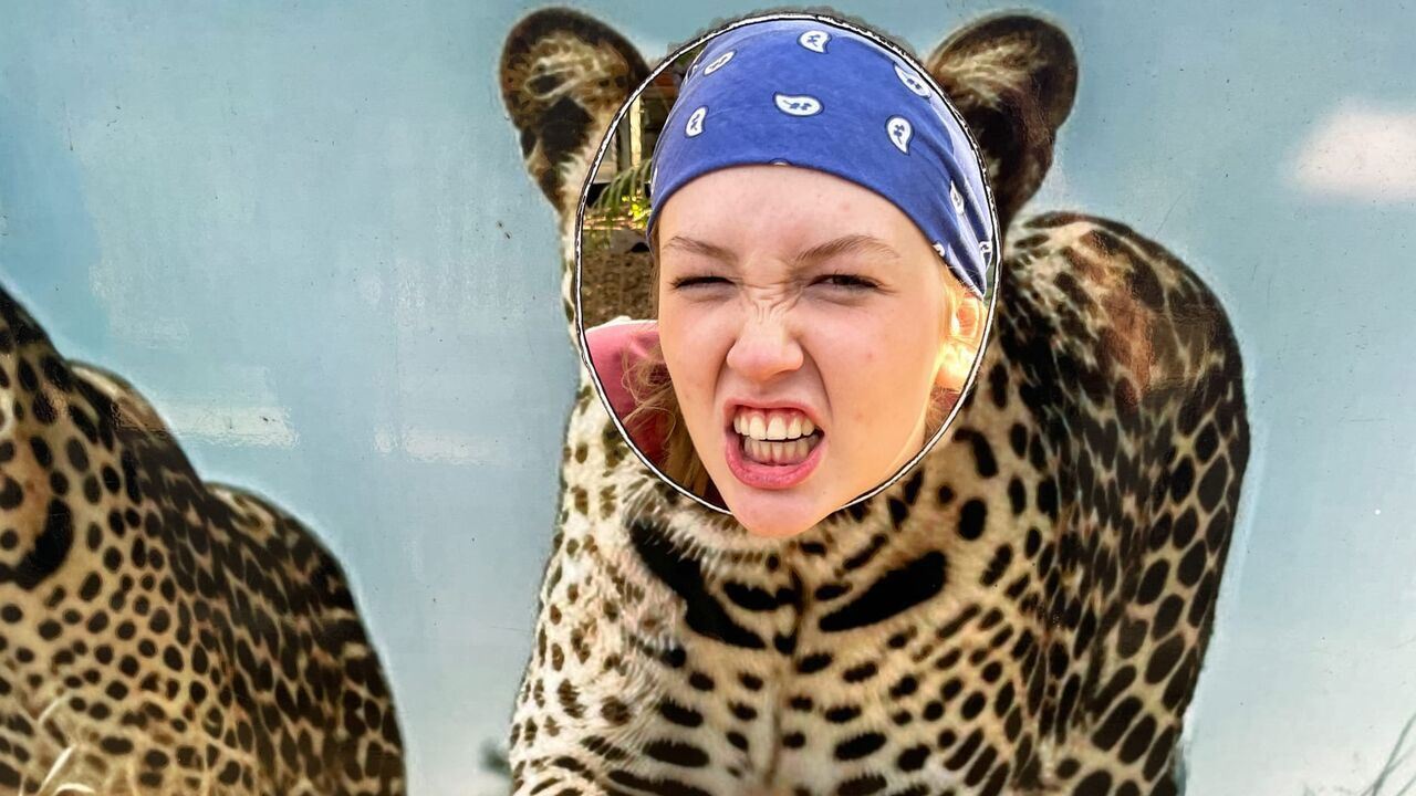 Slika oddaje