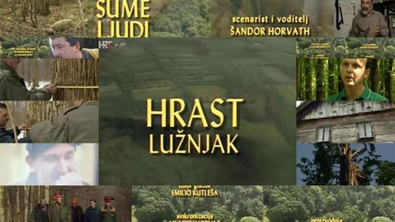 Slika oddaje
