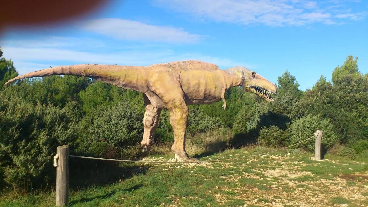 Slika oddaje