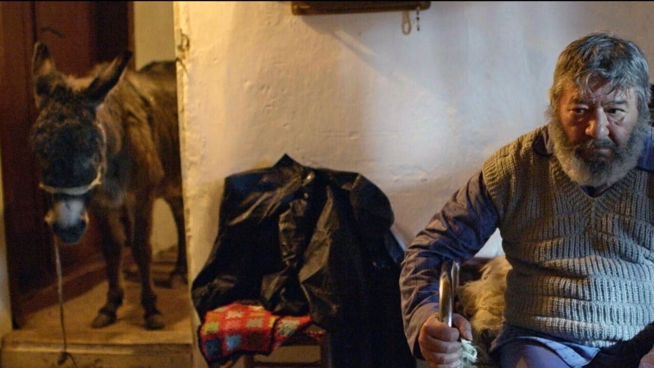 Slika oddaje