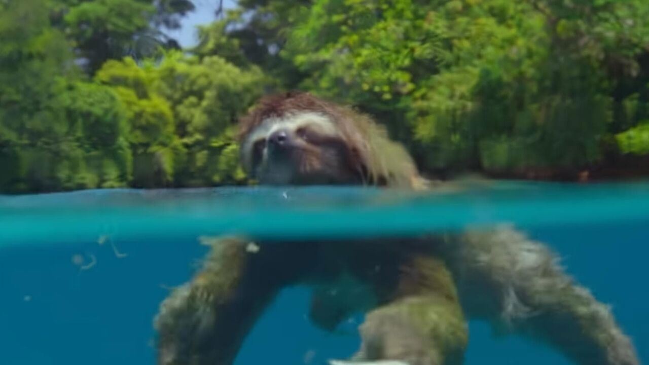 Slika oddaje