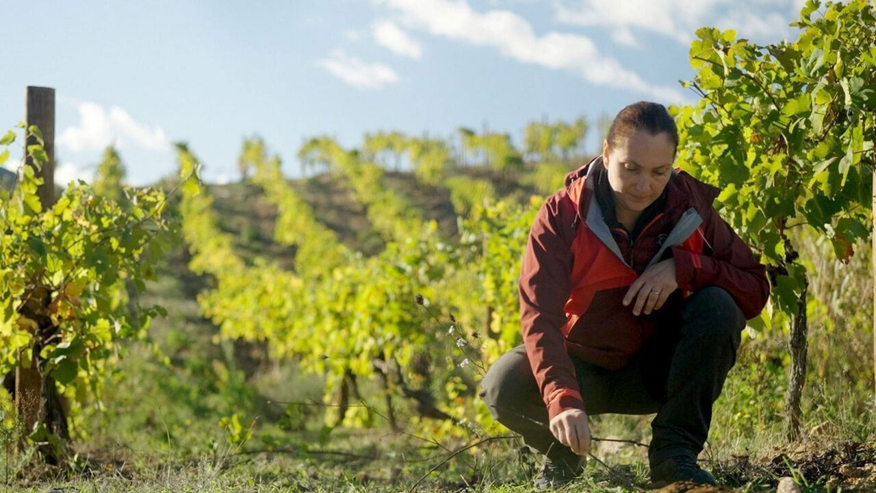 Slika oddaje