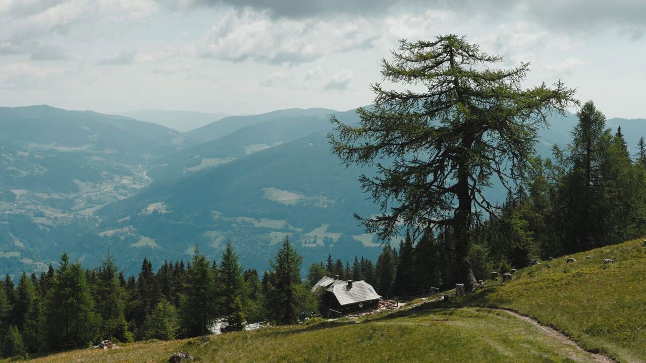 Slika oddaje