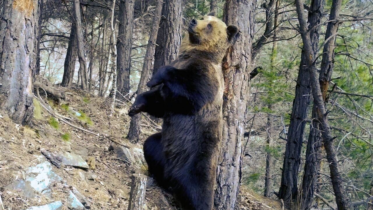 Slika oddaje