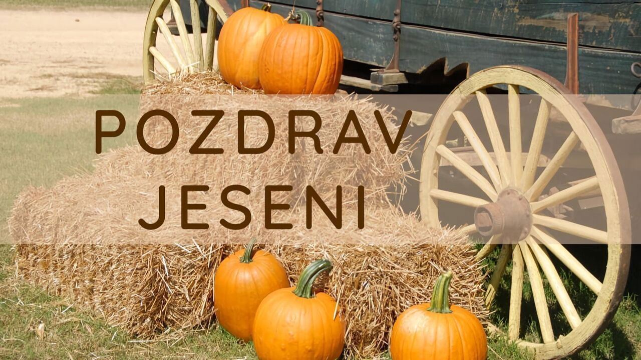 Slika oddaje