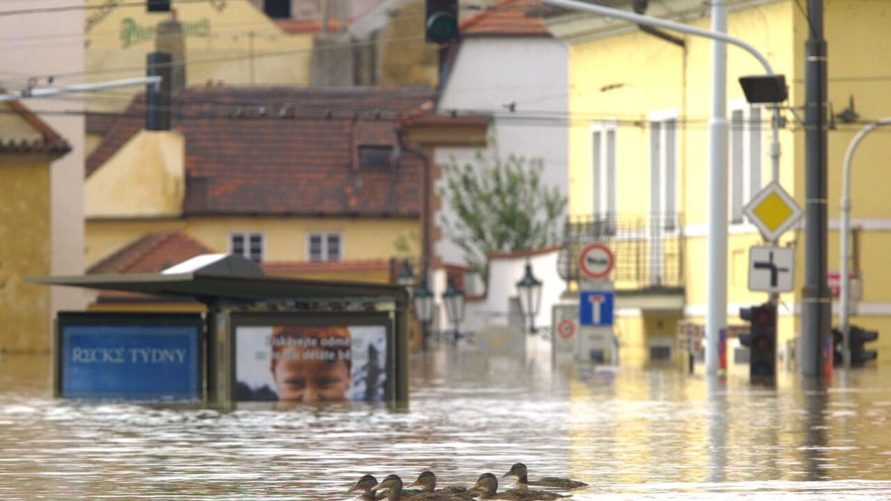 Slika oddaje