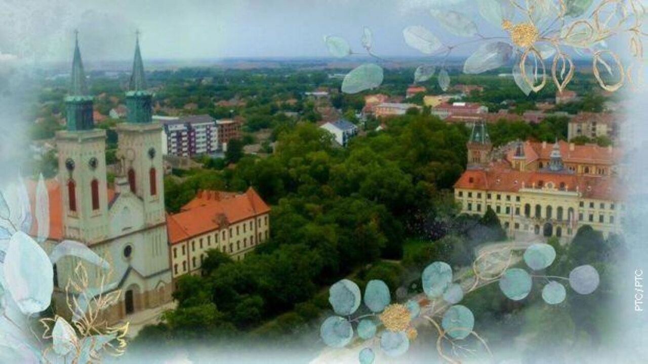 Slika oddaje