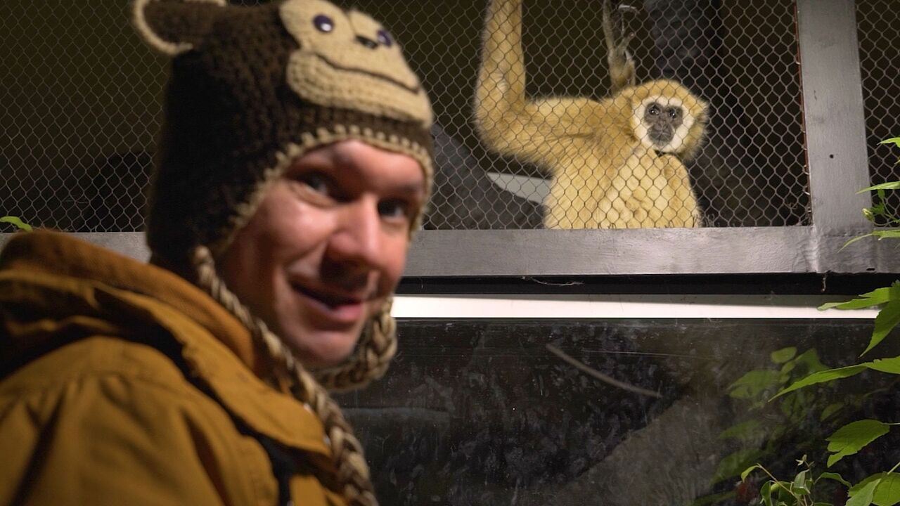 Slika oddaje
